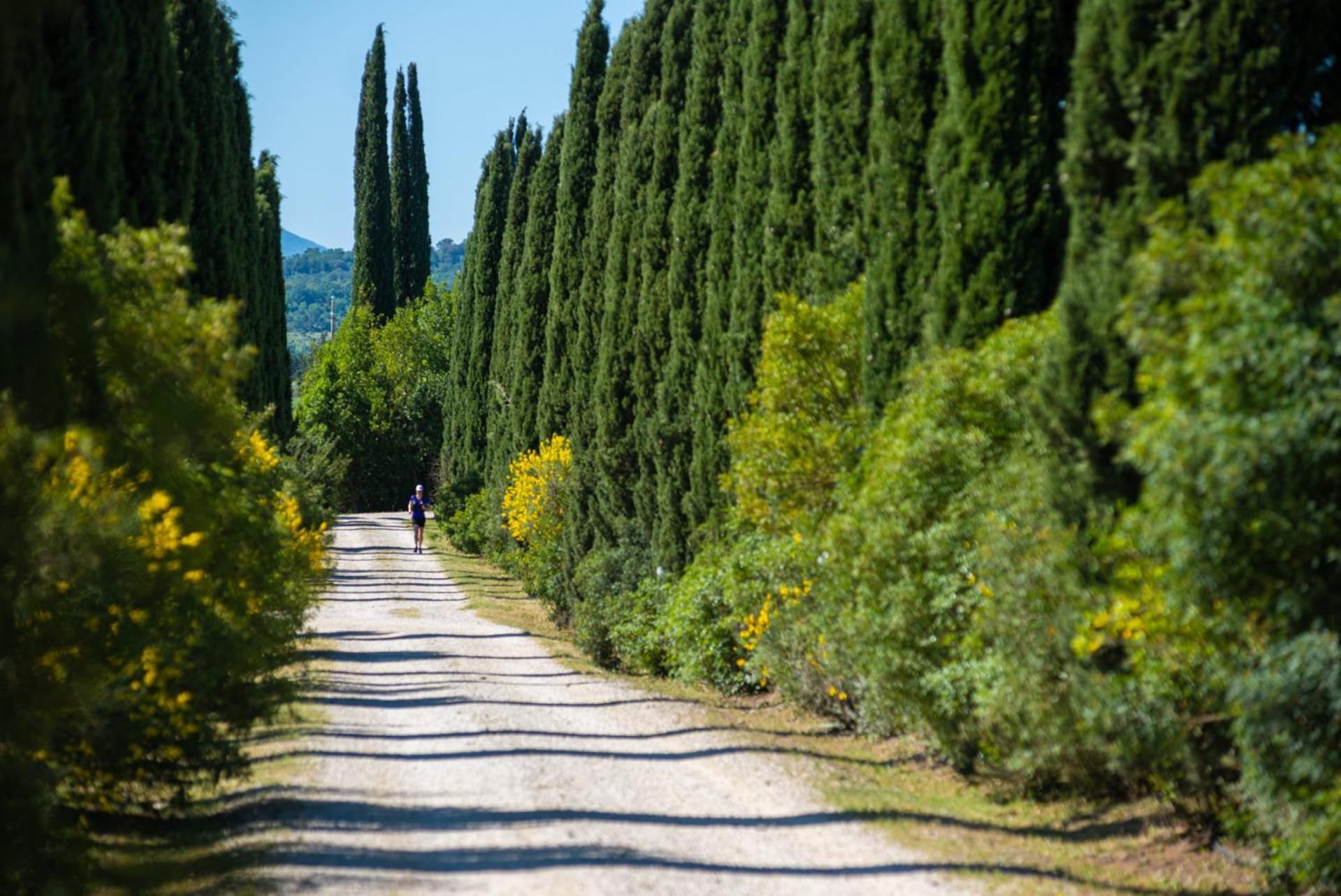 Tenuta Il Cicalino Massa Marittima Εξωτερικό φωτογραφία